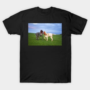 Sausage Wars Spinone T-Shirt